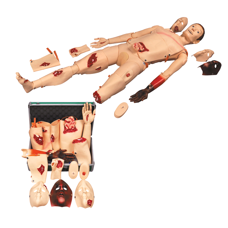 高級創(chuàng)傷訓(xùn)練模型 高級創(chuàng)傷訓(xùn)練模型