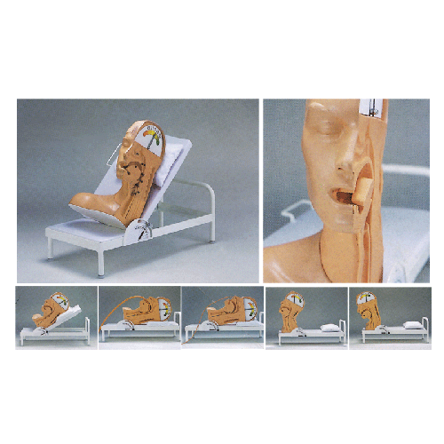 高級(jí)吞咽機(jī)制模型 高級(jí)吞咽機(jī)制模型