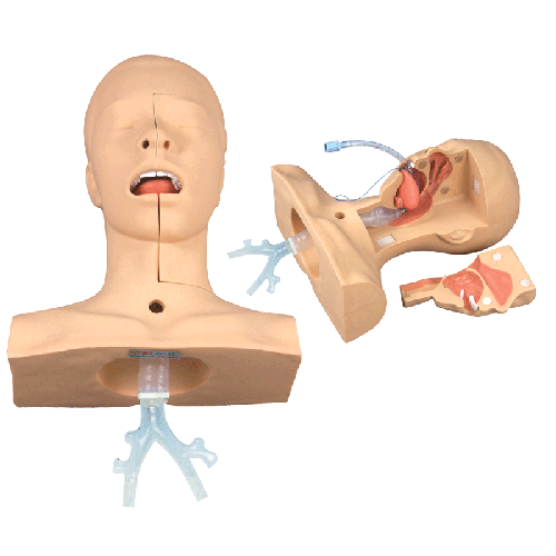 �߼�(j��)��̵����(x��)ģ��