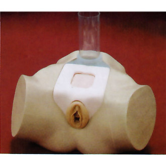 �߼�(j��)Ů�԰��״���ģ��