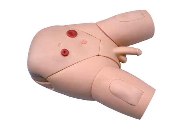 ���Ԍ���ʾ��ģ��