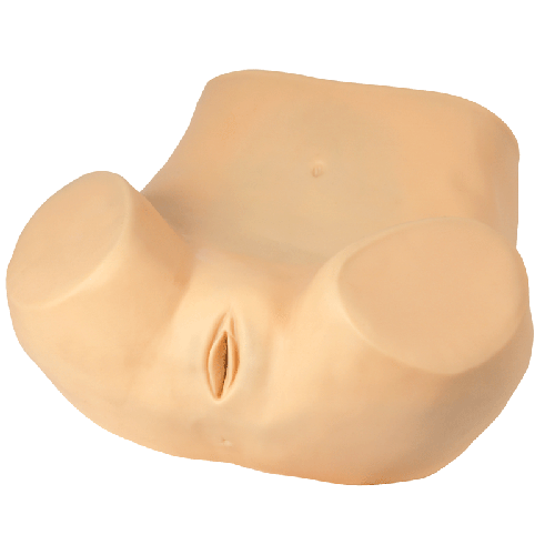 �߼�(j��)�D��Ӗ(x��n)��ģ��