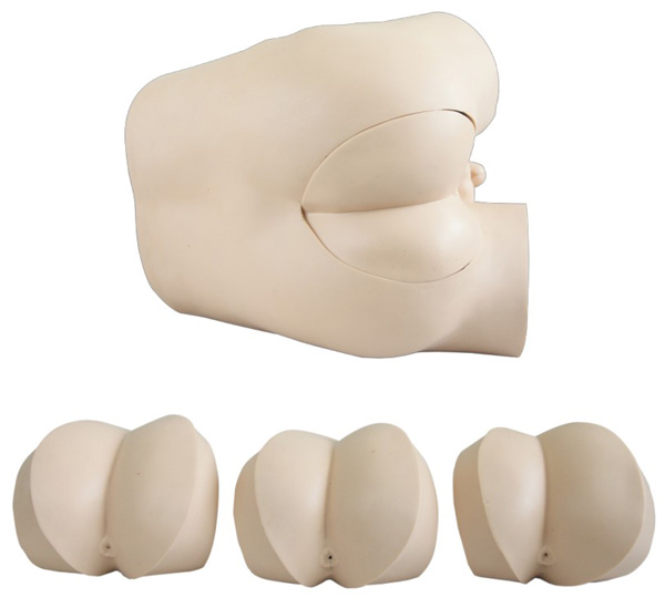 �߼�ֱ�cָ�\�z��ģ��