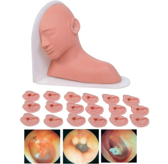 �߼������z��ģ��