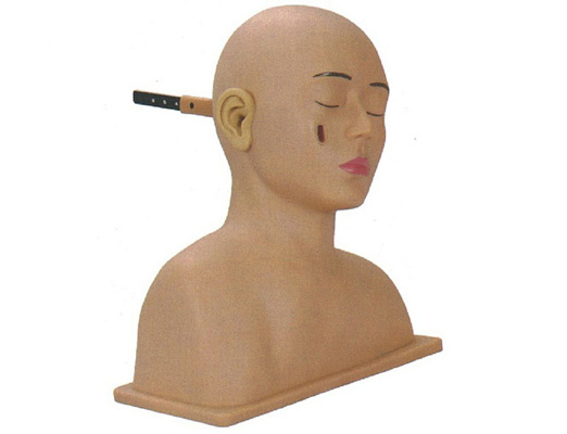 �߼����\��ģ��