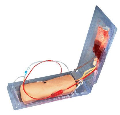 高級肘部靜脈穿刺訓練模型 高級肘部靜脈穿刺訓練模型