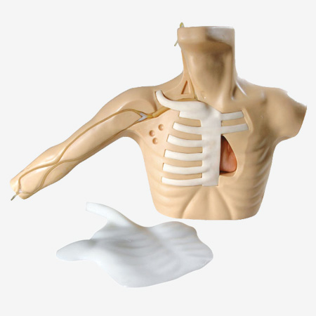 ���ܴ����������o�}���̲��ģ��