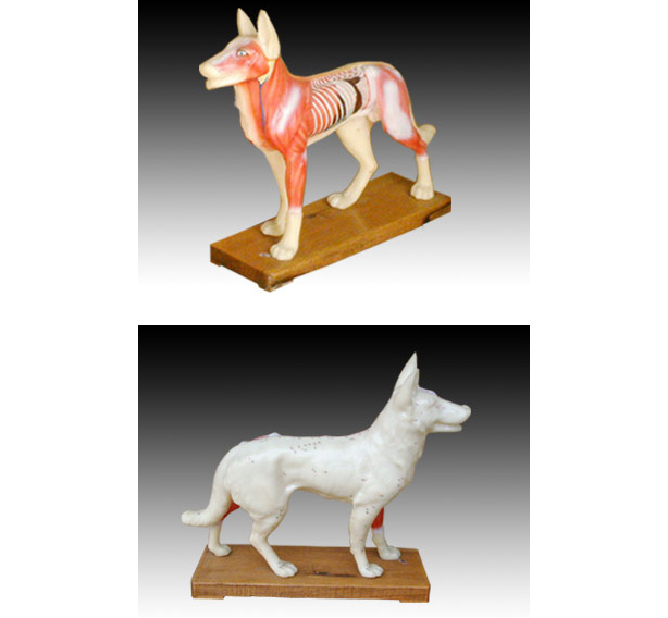 �R���i��ţ������؈?b��o)w���ģ��