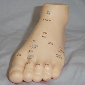 ��ᘾ�ģ��