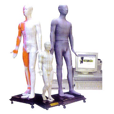 ᘾ����wѨλ�l(f��)��ģ�ͣ��I�أ�