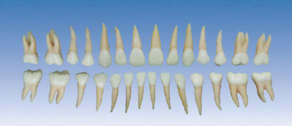 �pɫ����ģ��(��Ȼ��)