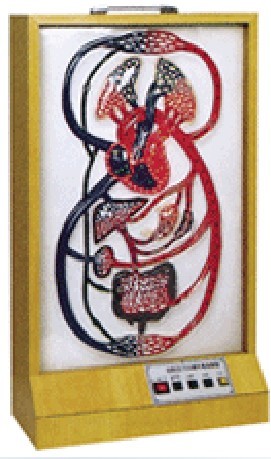 ����Сѭ�h(hu��n)늄�ģ��