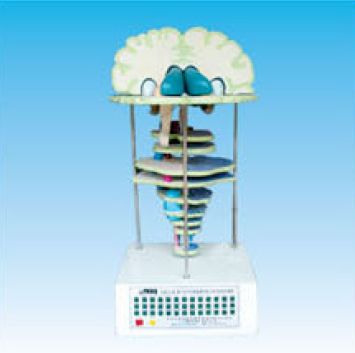 �X��ˮƽ�к���(j��ng)�����w�P(gu��n)ϵ늄�ģ��