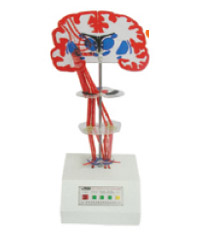 �F�w��ϵ���y���w-�n����늄�ģ��