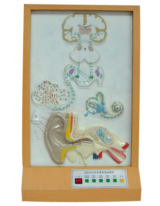  �X(ju��)����(d��o)늄�(d��ng)ģ��