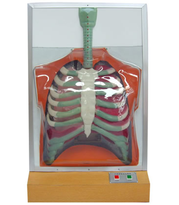 ���w�����\(y��n)��(d��ng)늄�(d��ng)ģ��