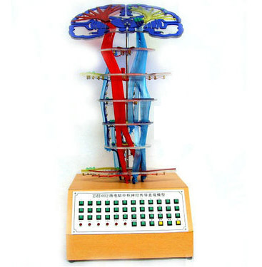 ΢��X�И���(j��ng)����(d��o)ֱ�^ģ��