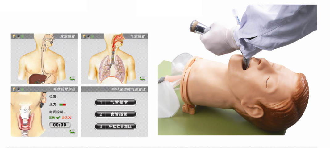 ȫ���ܚ������ģ��