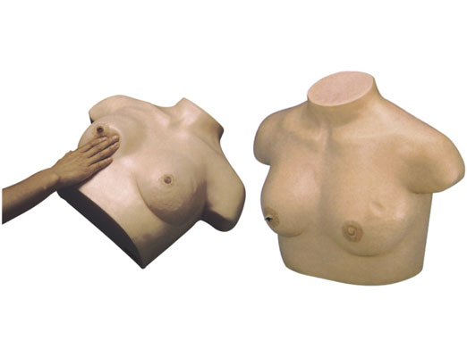 �߼�(j��)����ҕ�\�c�|�\ģ��