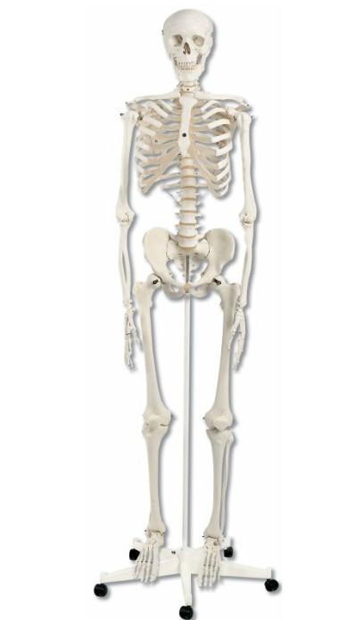 �M(j��n)�ژ�(bi��o)��(zh��n)������Stan