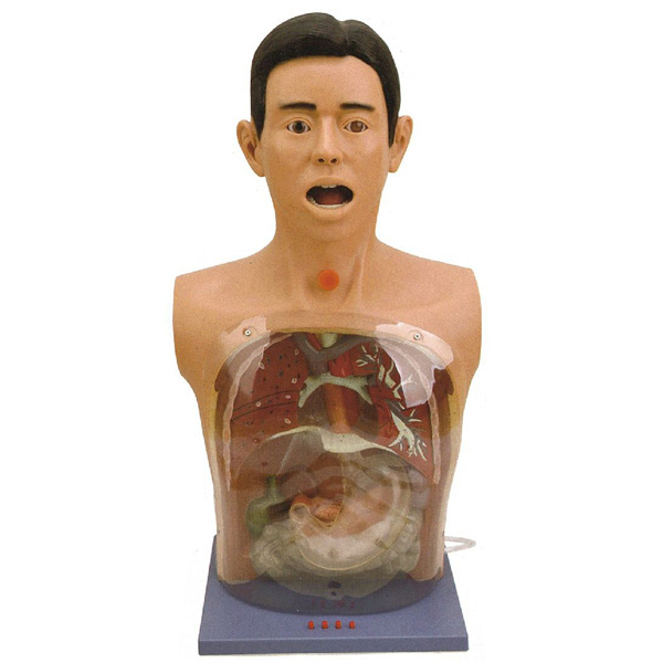 �߼�(j��)͸��ϴθģ��