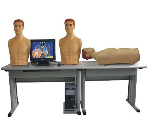 �ķ� �\�c�����|�\������Ә�(bi��o)��(zh��n)�����˾C�Ͻ̌W(xu��)ϵ�y(t��ng)��(sh��)�(y��n)��