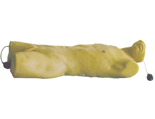 �]ʽ�����ιܓQˎģ��